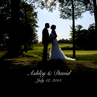 Ashley & David 10x10 Album - B