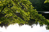 2016_June_WashburnPark